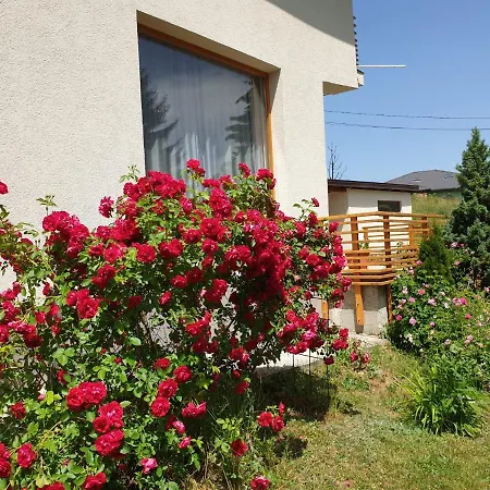 Country House Garden Rakovica