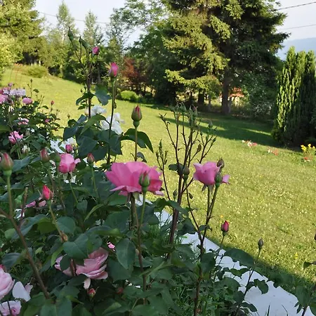 Country House Garden Rakovica